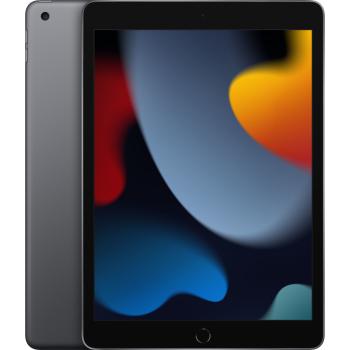 256 GB 25,9 cm (10.2 Zoll) Wi-Fi 5 (802.11ac) iPadOS 15 Grau