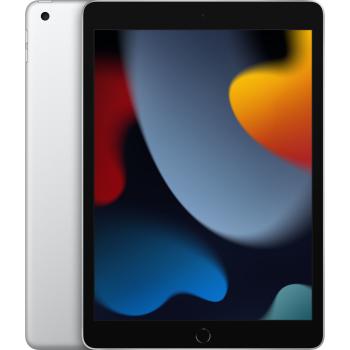 256 GB 25,9 cm (10.2 Zoll) Wi-Fi 5 (802.11ac) iPadOS 15 Silber